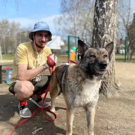 Aleksandr, 28Yekaterinburg, רוסיה 