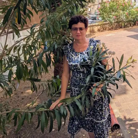 Bella, 70 חיפה, ישראל