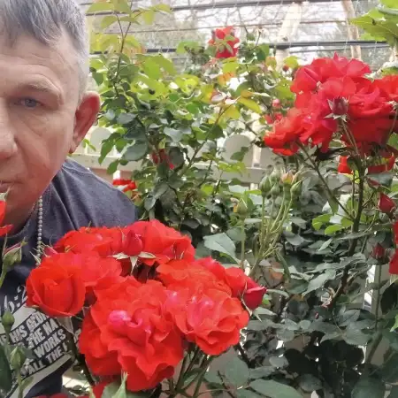 Samuel, 48, ישראל 
