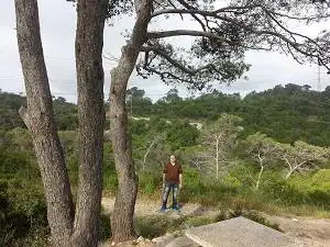 תמונה Alexander 3 