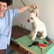 תמונה ילנה 2 