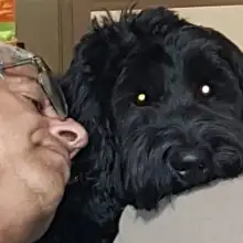 תמונה Avi 1 