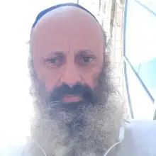 תמונה זאב 1 אני אדם רציני והכי יודע לאהוב